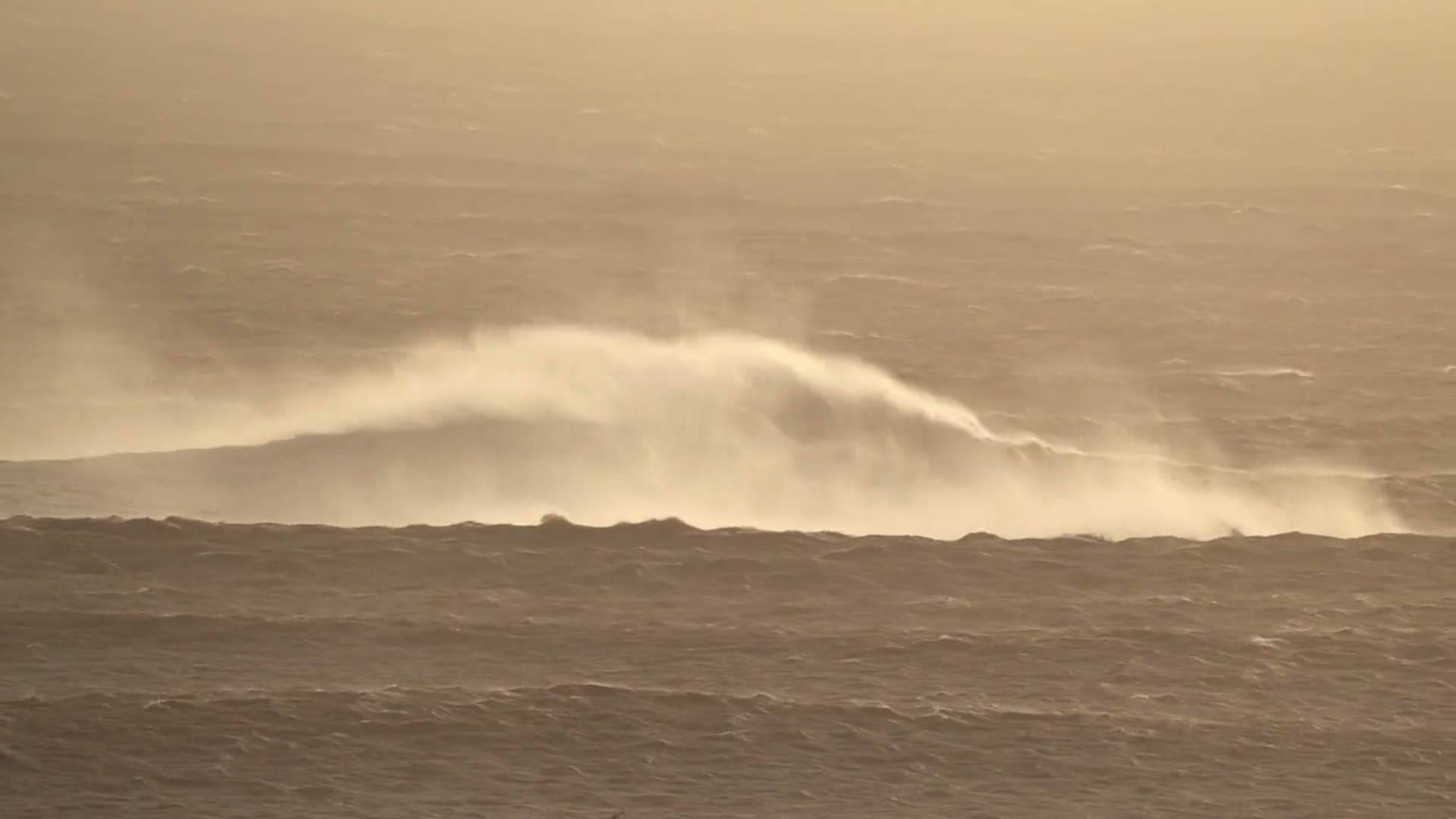 Template Experiences - surf, food, wellness and daily life on Morocco's Atlantic coast